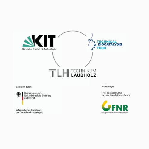 Projektpartner-SkaDes-2_Square