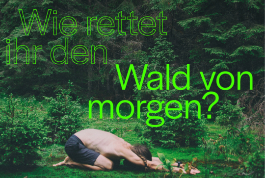 Waldmacher_Award_2026